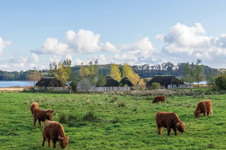 8 wiki Haithabu-msu-1251